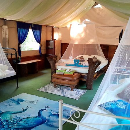 Fully Furnished Family Jungle Tent, Latino Glamping Paquera Εξωτερικό φωτογραφία