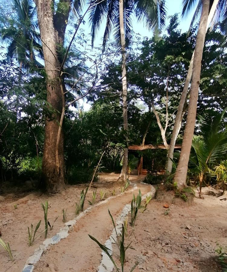 Fully Furnished Family Jungle Tent, Latino Glamping Paquera Εξωτερικό φωτογραφία