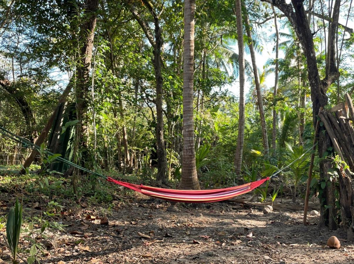 Fully Furnished Family Jungle Tent, Latino Glamping Paquera Εξωτερικό φωτογραφία