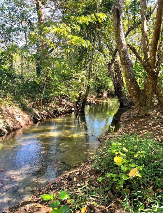 Fully Furnished Family Jungle Tent, Latino Glamping Paquera Ξενοδοχείο Εξωτερικό φωτογραφία