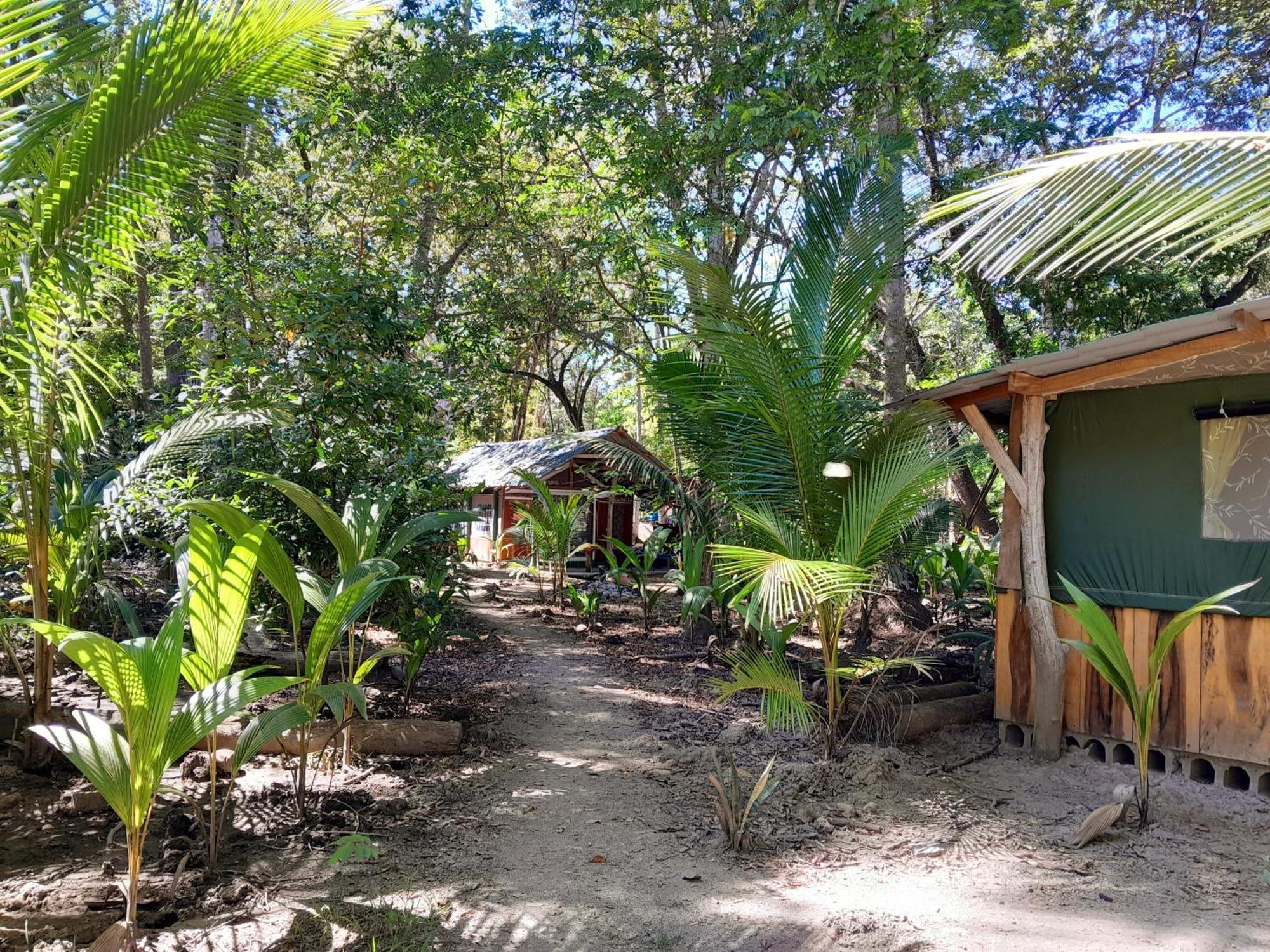 Fully Furnished Family Jungle Tent, Latino Glamping Paquera Εξωτερικό φωτογραφία