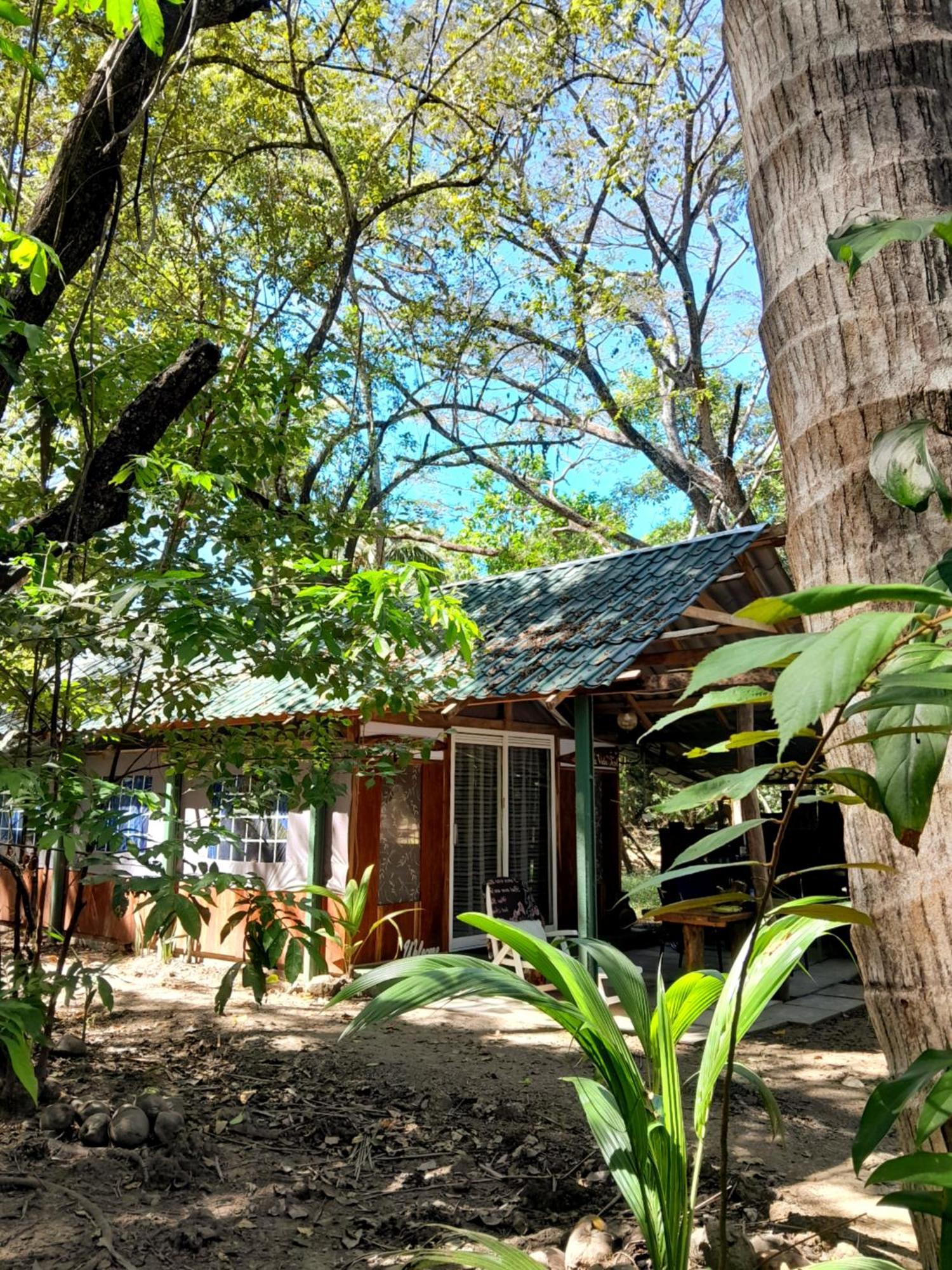 Fully Furnished Family Jungle Tent, Latino Glamping Paquera Εξωτερικό φωτογραφία
