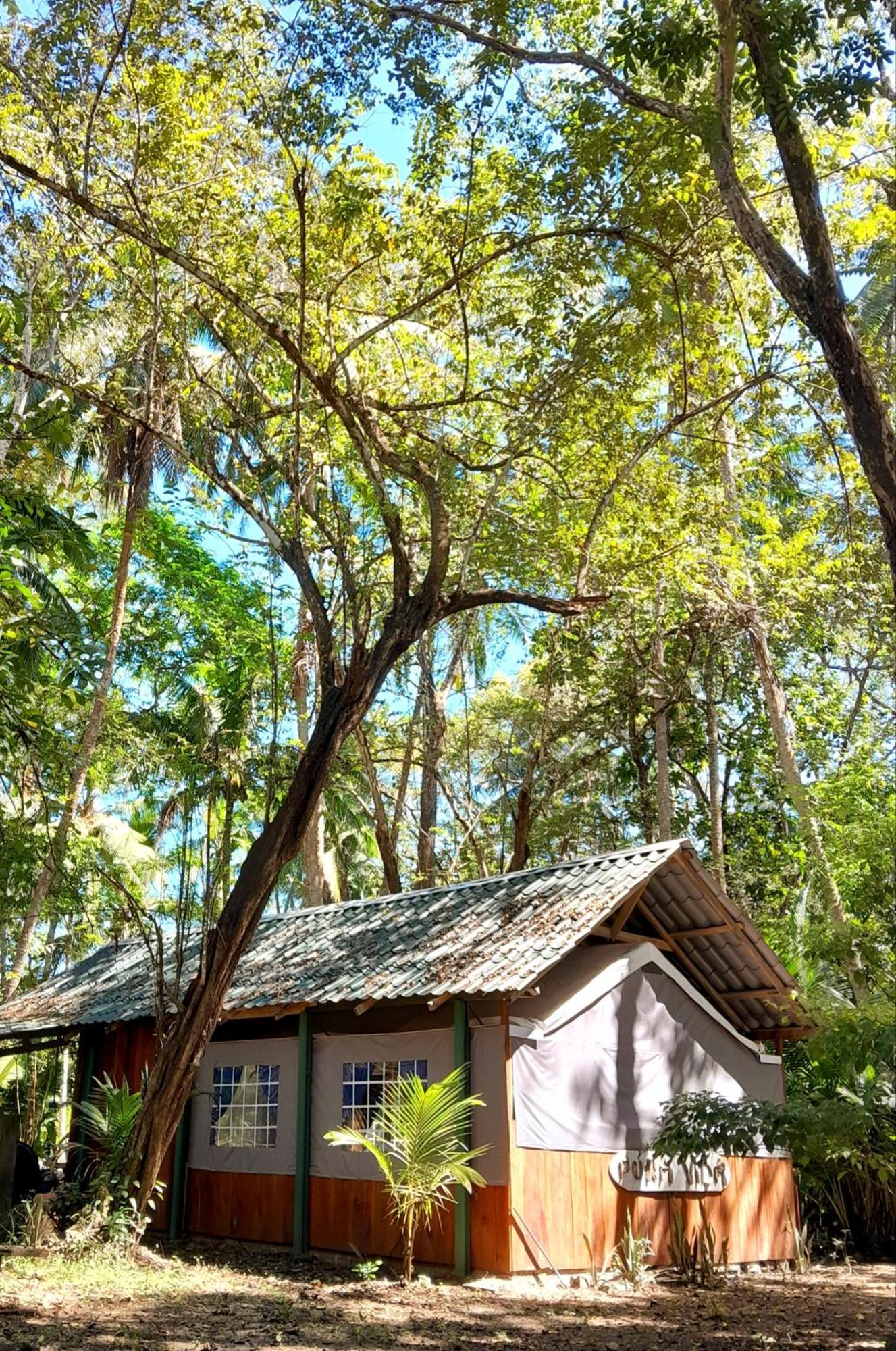 Fully Furnished Family Jungle Tent, Latino Glamping Paquera Εξωτερικό φωτογραφία