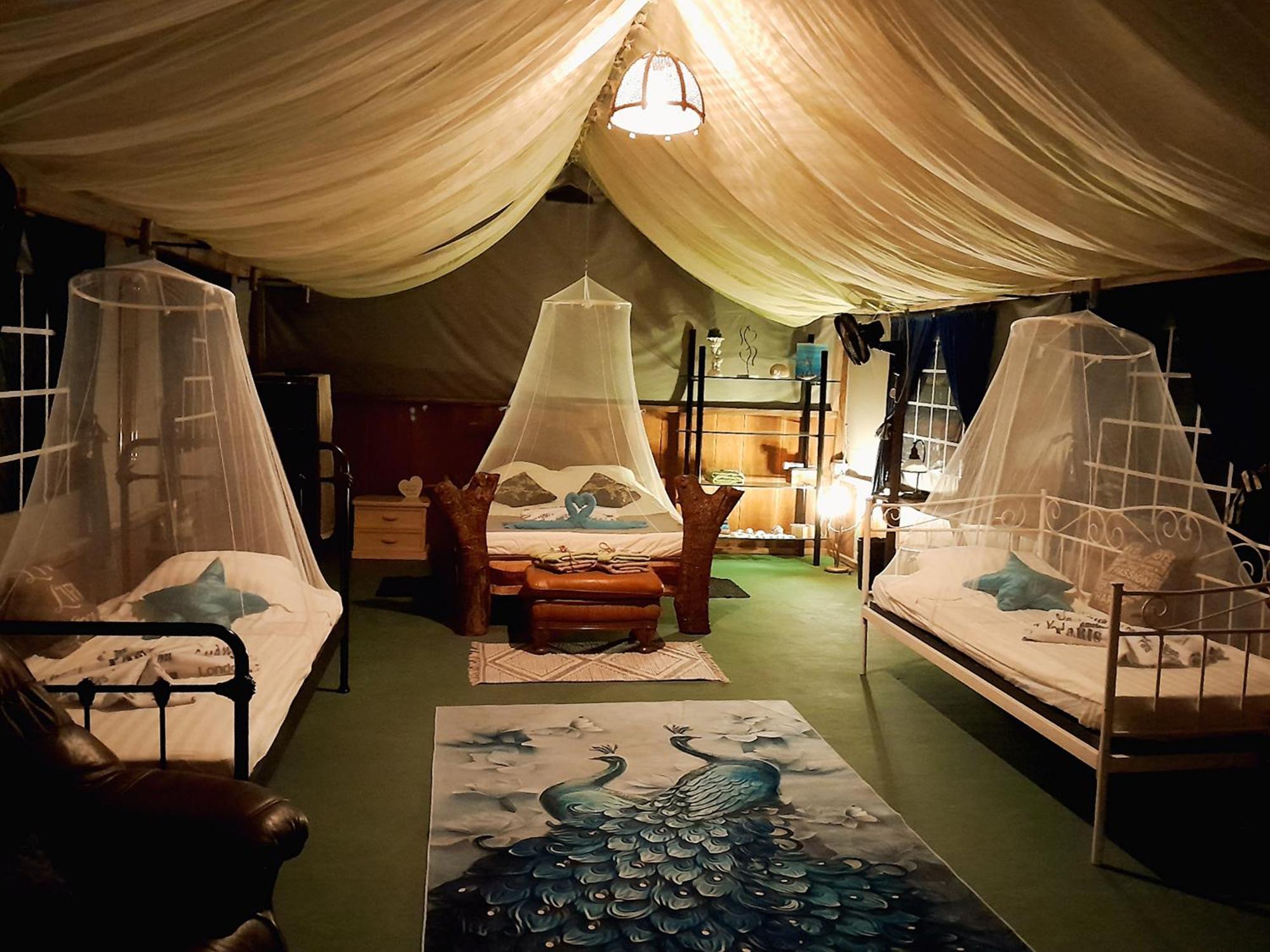 Fully Furnished Family Jungle Tent, Latino Glamping Paquera Εξωτερικό φωτογραφία