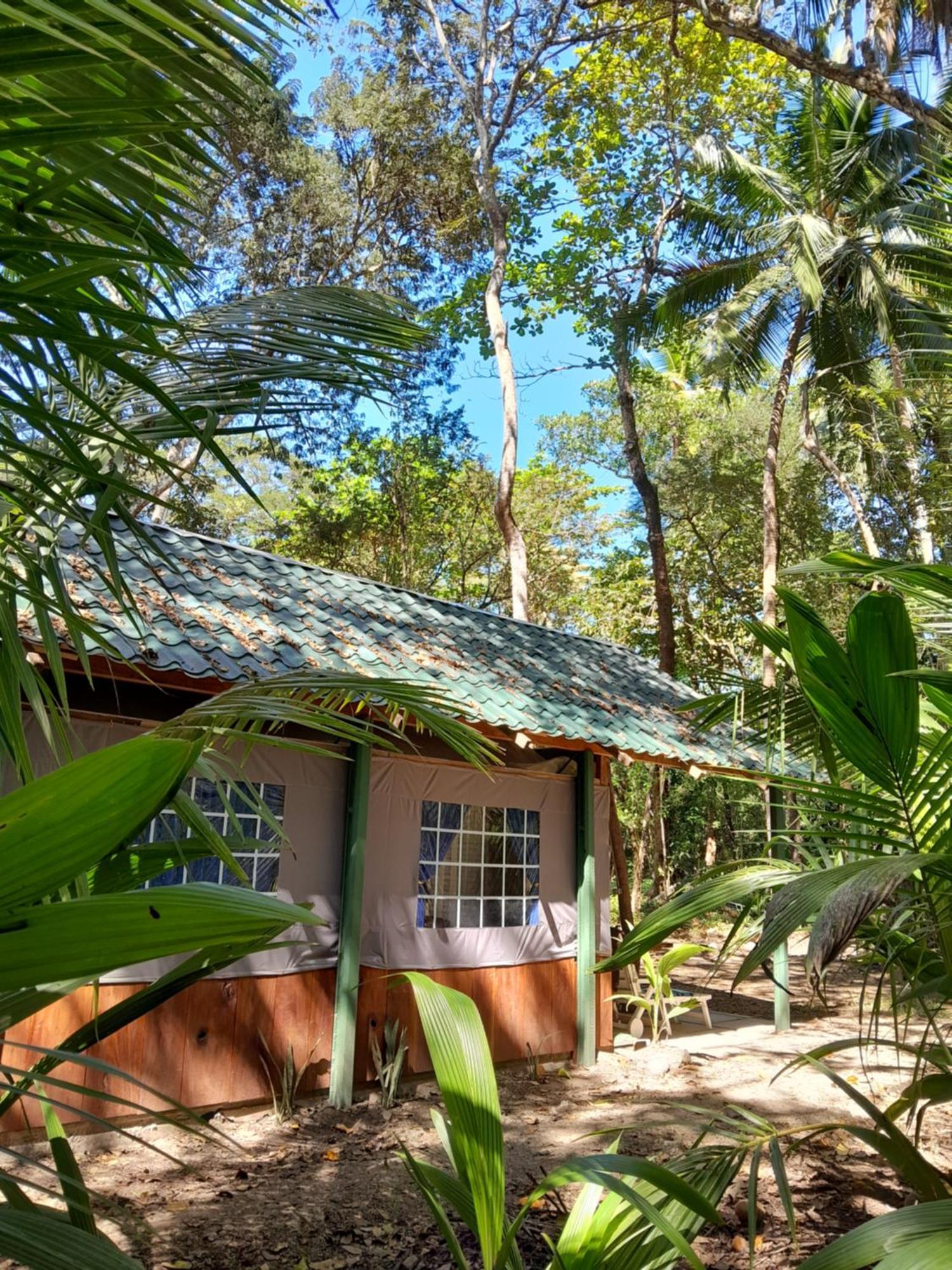 Fully Furnished Family Jungle Tent, Latino Glamping Paquera Εξωτερικό φωτογραφία
