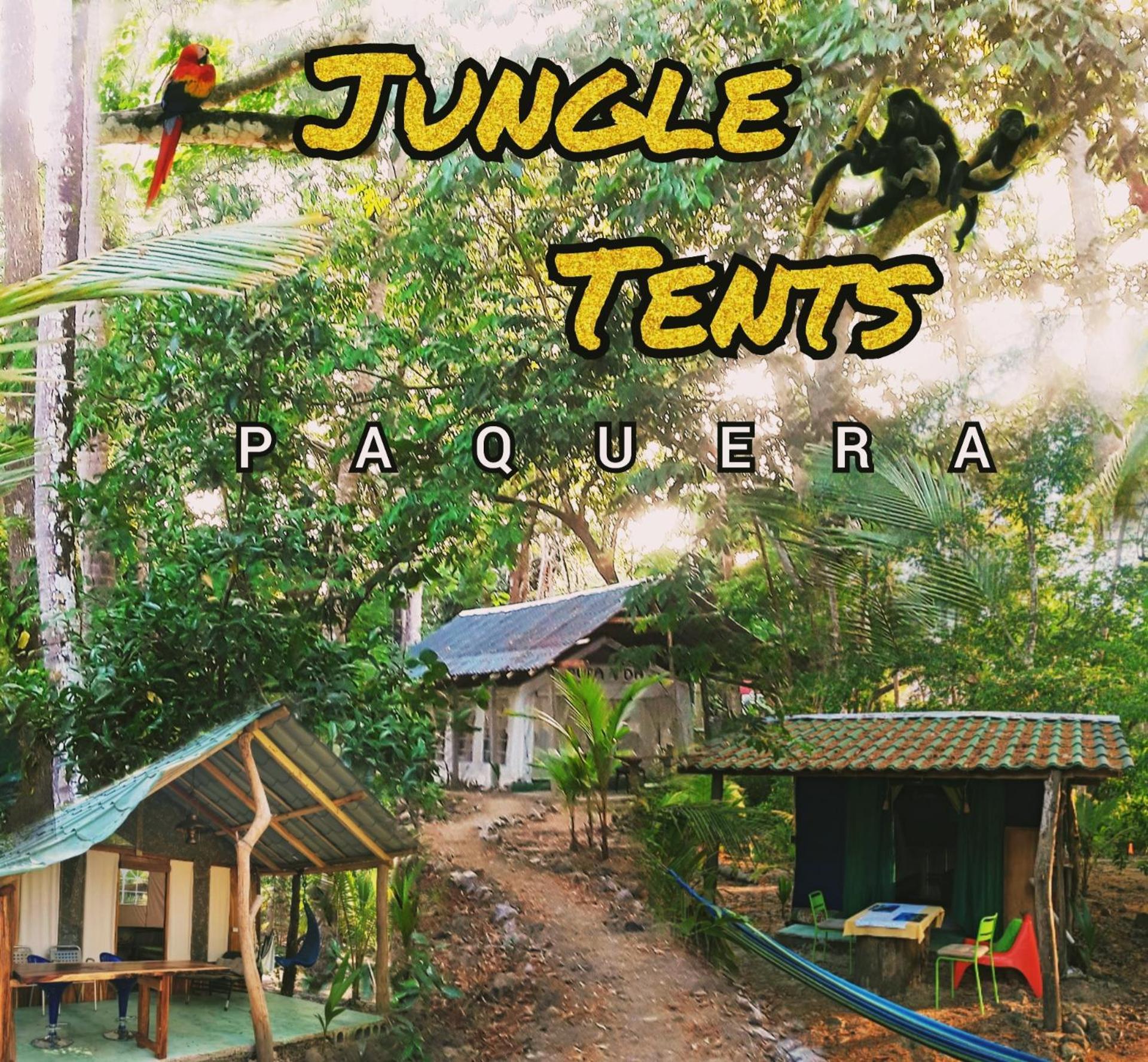 Fully Furnished Family Jungle Tent, Latino Glamping Paquera Εξωτερικό φωτογραφία