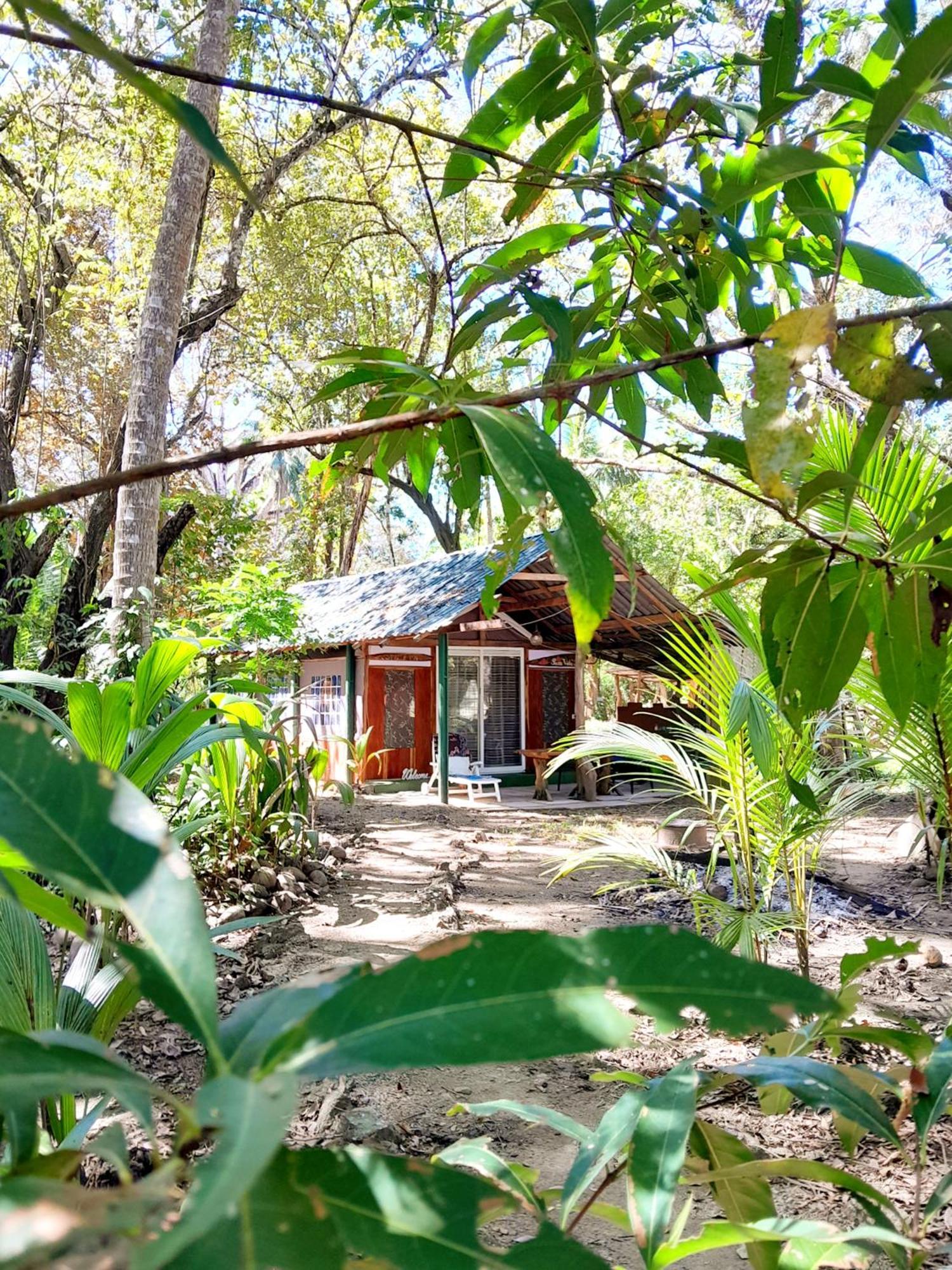Fully Furnished Family Jungle Tent, Latino Glamping Paquera Εξωτερικό φωτογραφία