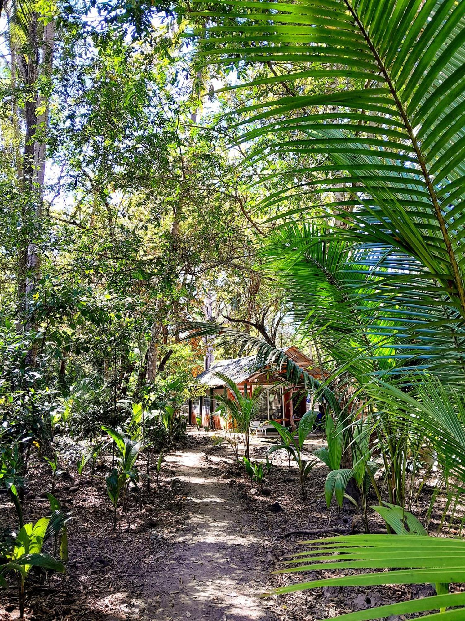 Fully Furnished Family Jungle Tent, Latino Glamping Paquera Εξωτερικό φωτογραφία
