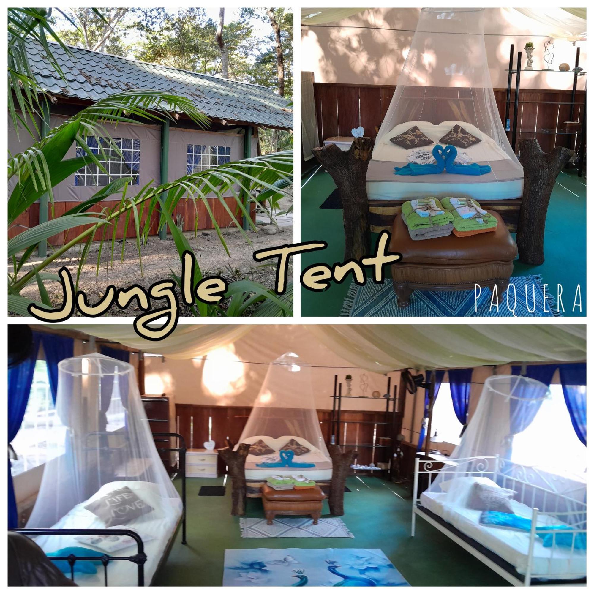 Fully Furnished Family Jungle Tent, Latino Glamping Paquera Εξωτερικό φωτογραφία