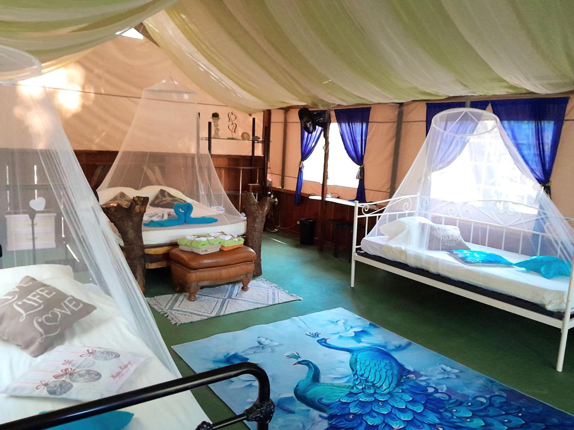 Fully Furnished Family Jungle Tent, Latino Glamping Paquera Εξωτερικό φωτογραφία