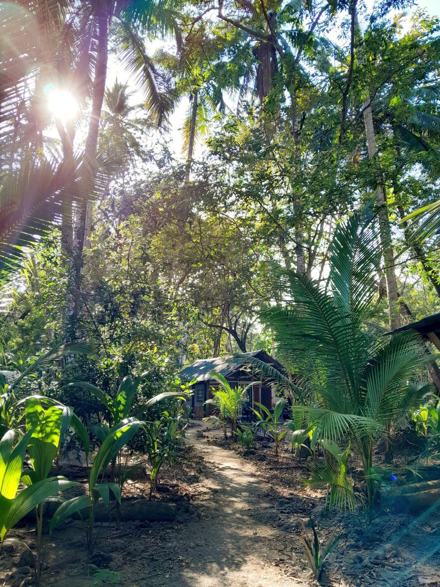 Fully Furnished Family Jungle Tent, Latino Glamping Paquera Εξωτερικό φωτογραφία
